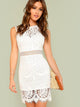 Zip Back Form Fitted Lace Dress