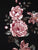 Lace Yoke Floral Flare Dress