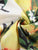 50s Lemon Print Belted Dress
