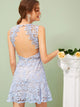 Plunging Neck Open Back Guipure Lace Overlay Dress