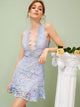Plunging Neck Open Back Guipure Lace Overlay Dress