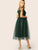 Sheer Shoulder Mesh Overlay Flare Dress