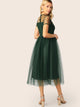 Sheer Shoulder Mesh Overlay Flare Dress