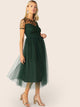 Sheer Shoulder Mesh Overlay Flare Dress