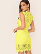 Zip Back Form Fitted Lace Dress