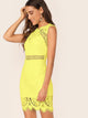 Zip Back Form Fitted Lace Dress