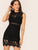 Zip Back Form Fitted Lace Dress