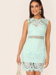 Zip Back Form Fitted Lace Dress