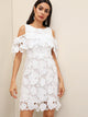 Solid Cold Shoulder Guipure Lace Dress
