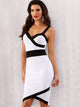 Adyce Two Tone Bodycon Slip Dress