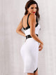 Adyce Two Tone Bodycon Slip Dress