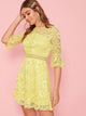 Flounce Sleeve Lace Overlay Fit and Flare Dress