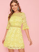 Flounce Sleeve Lace Overlay Fit and Flare Dress