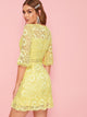 Flounce Sleeve Lace Overlay Fit and Flare Dress