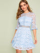 Flounce Sleeve Lace Overlay Fit and Flare Dress