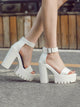 Minimalist Ankle Strap Chunky Heels