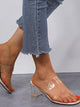 Two Part Clear Strap Chunky Heels
