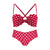 Fashion Bras Brief Set For Women Push Up Bra Lingerie Panties Sexy Bralette Dot Brassiere Underwear Spring Summer Intimates #D