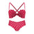 Fashion Bras Brief Set For Women Push Up Bra Lingerie Panties Sexy Bralette Dot Brassiere Underwear Spring Summer Intimates #D