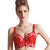 Ladies Secret Floral Bras For Women Brassiere Plus Size Bralette B C D Cup 30 32 34 36 38 Free Shipping