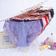 Ladies Underwear Women Panties Sexy Lace Panty Transparent Low-Rise Plus Size XXXL Briefs Female Intimates Hot Sale T8