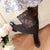 Sexy Warm Long Cotton Stocking Over Knee Stocking Women Winter Knee High Thigh Knitted Stockings for Ladies Over The Knee Socks