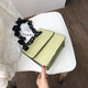 Thick Chain Crossbody Bags For Women 2019 Fashion Stone Pattern Small Shoulder Messenger Bag Ladies  Designer Purses and Handbag