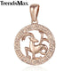 AlphaGal 12 Zodiac Sign Constellations Pendants Necklaces For Women Men 585 Rose Gold Male Jewelry Fashion Birthday Gifts GPM16