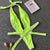 neon green one piece swimsuit 2019 4 color bandage swimwear sexy backless bikini hot summer beachwear swimming suit for women